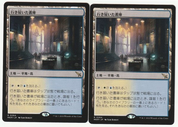 MKM 行き届いた書庫/Meticulous Archive 日本語2枚セット拍卖