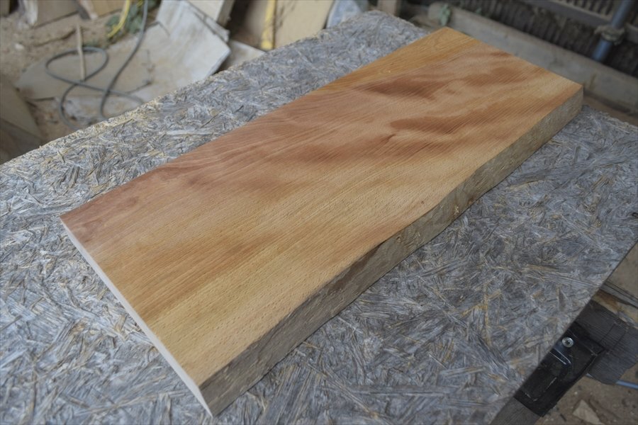 ■送料無料■ブナ(椈)■W50.7cm×D19.8cm×H2.9cm■DIY■木工■Z027拍卖