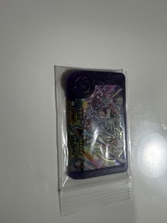 ポケモンフレンダベストタッグ第2弾 STガチグマ拍卖