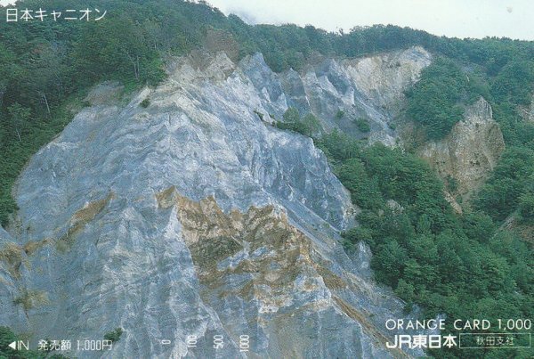 日本キャニオン JR東日本秋田支社オレンジカード拍卖