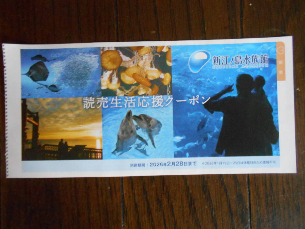 新江ノ島水族館 クーポン券 2026/2/28まで 送料無料拍卖