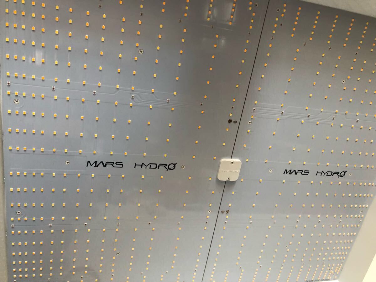 マーズハイドロ TS3000 MARS HYDRO 植物育成ライト 拍卖
