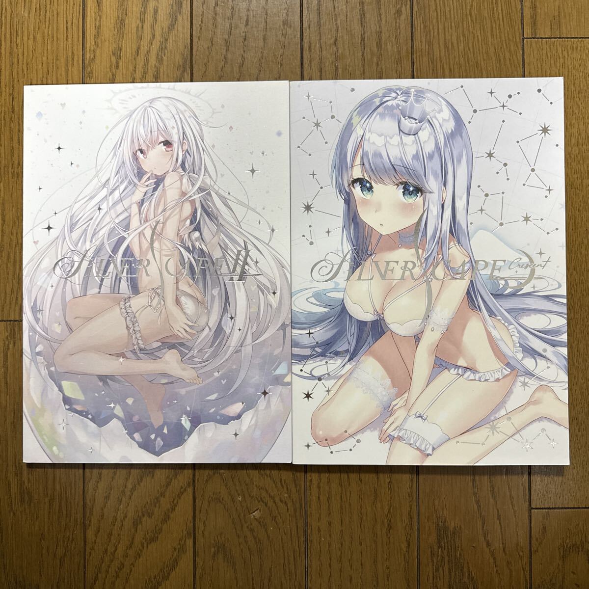 SILVERSCAPE オリジナル 一般 同人誌 フルカラーイラスト集 pastyle 米白粕 2冊セット h1拍卖