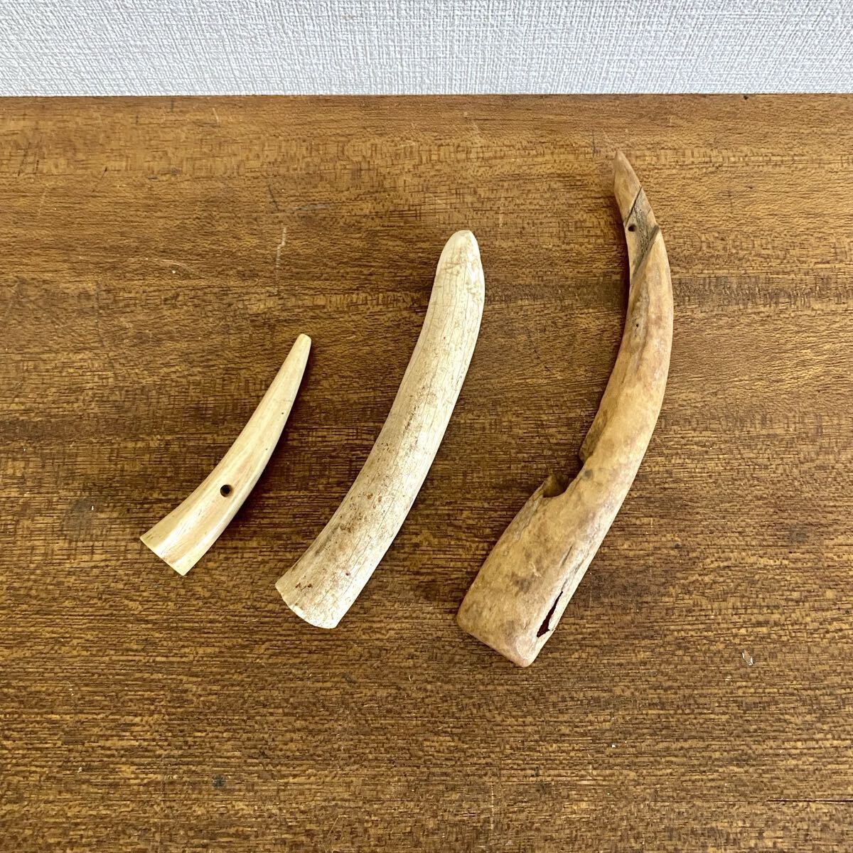 ヴィンテージ 鹿角 獣牙 ツノ 3点セット / 根付け オブジェ 素材 鹿の角 キバ 【詳細不明】拍卖