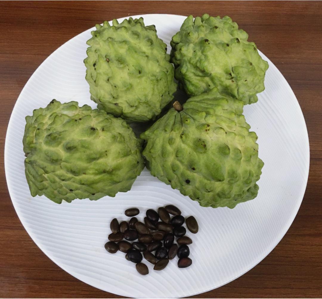 おすすめ!沖縄本島産 高級フルーツ、アテモヤの種子20粒拍卖