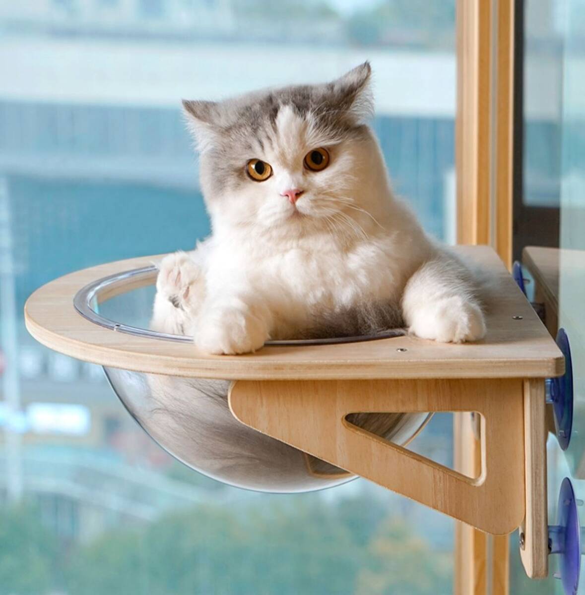 猫用 ハンモック 窓 強力吸盤 半球 透明 窓 壁 クリアボウル 半球 取り付けタイプ 吸盤ハンモック 耐荷重20kg 頑丈 宇宙船型 猫ベッド拍卖