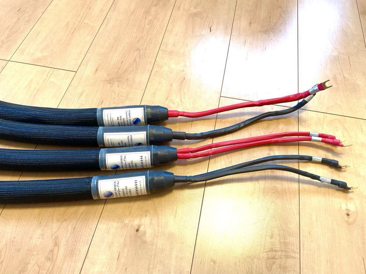 極レア PAD Purist Audio Design Dominus ドミナスSignature スピーカーケーブル BIW バイワイヤーPLASMA 5m(S/N:100448 正規輸入品)拍卖