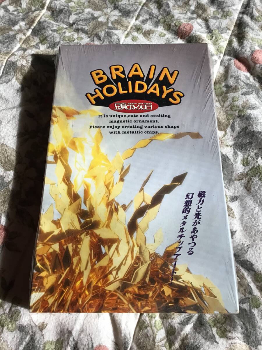デッドストック 未開封 頭の休日 BRAIN HOLIDAYS マグネットアート 工作キット アーティスト オリジナル インテリア マグネット拍卖