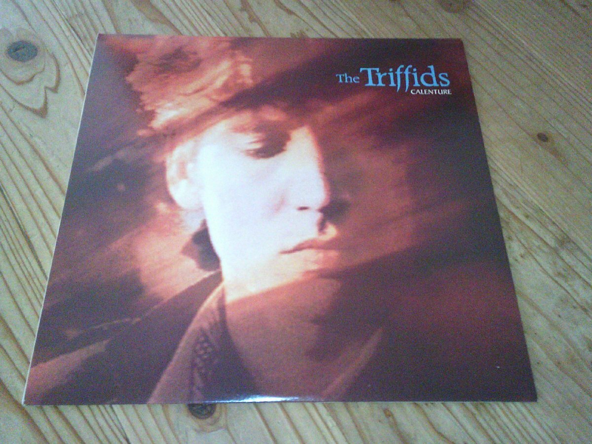 LP:THE TRIFFIDS CALENTURE トリフィッズ:US盤拍卖