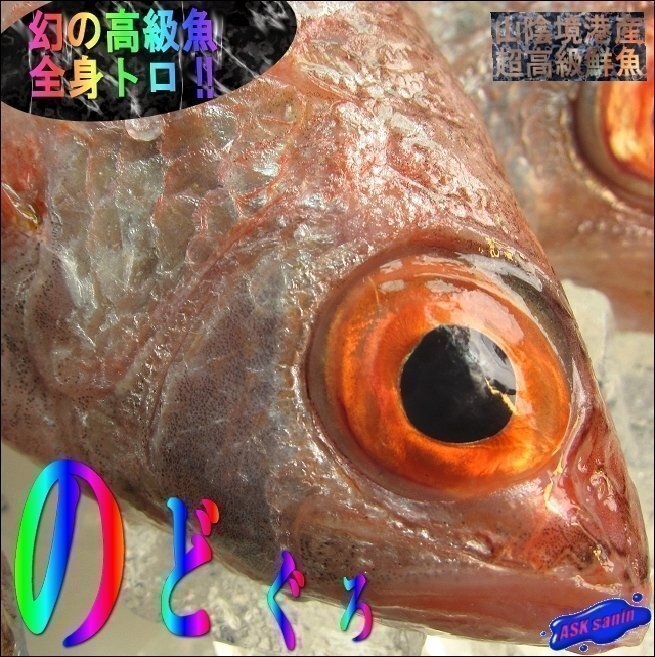 幻の超高級魚「のどぐろ 7尾位で1kg」お刺身用・脂のってます!! 山陰境港産拍卖