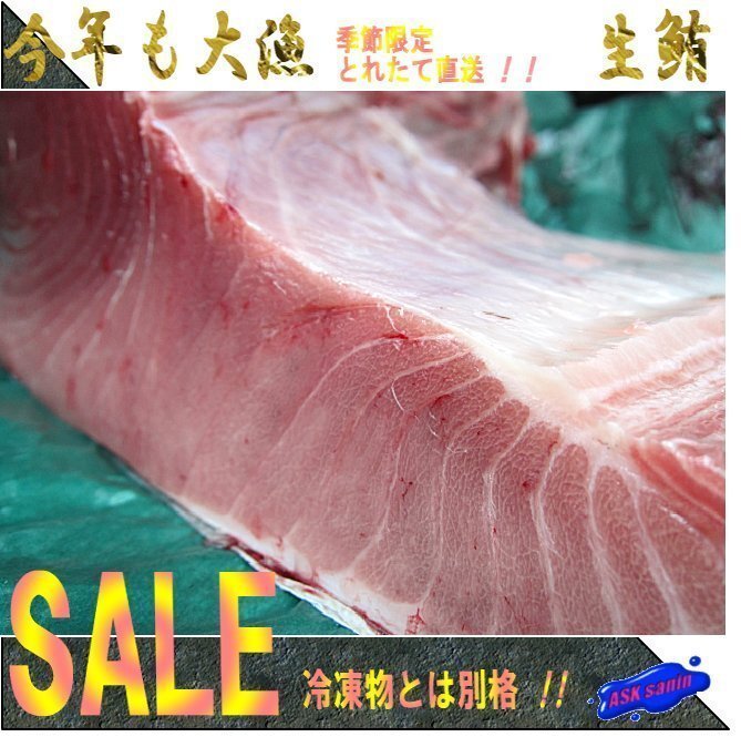 生まぐろ「腹上3-5kg」大トロたっぷり、天然物(不定貫につき差額発生します。)拍卖