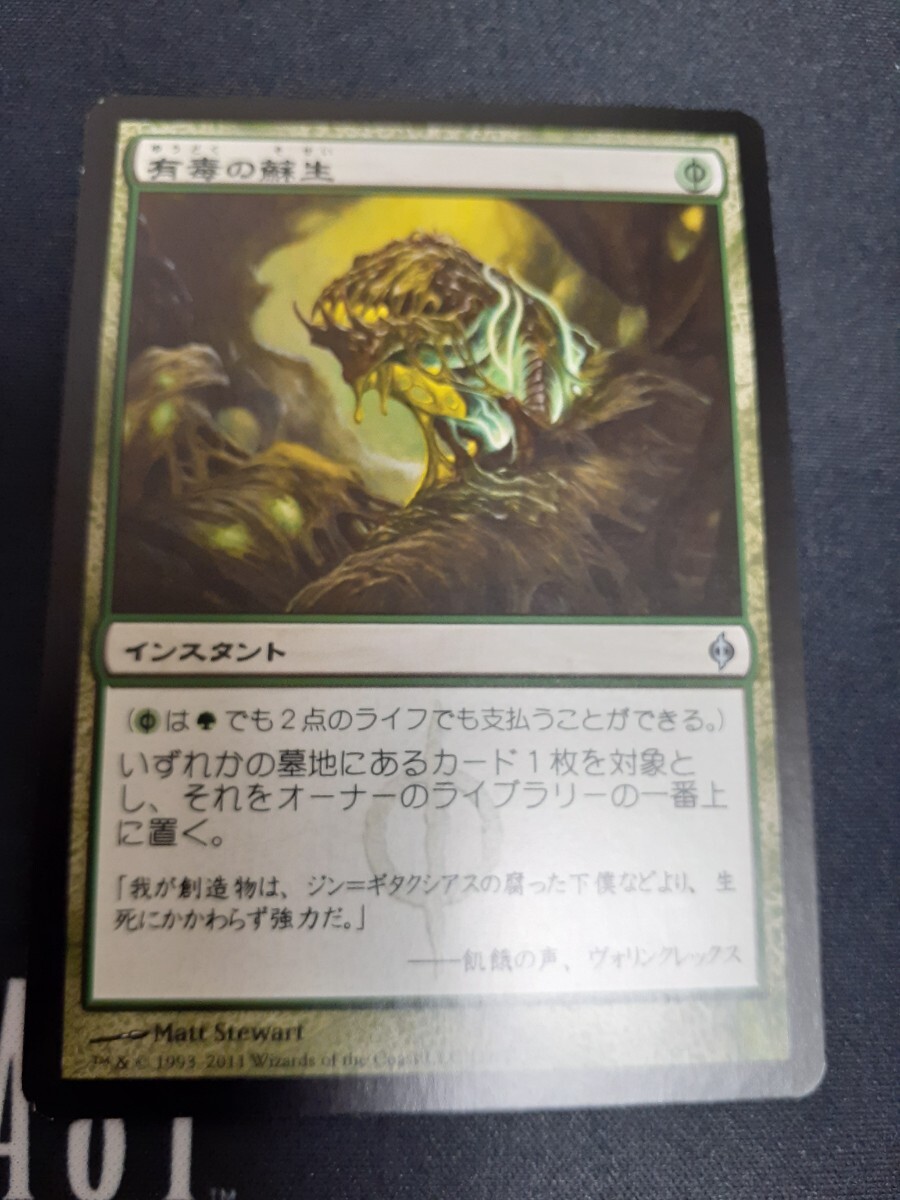 mtg  有毒の蘇生 日本語 数量2拍卖