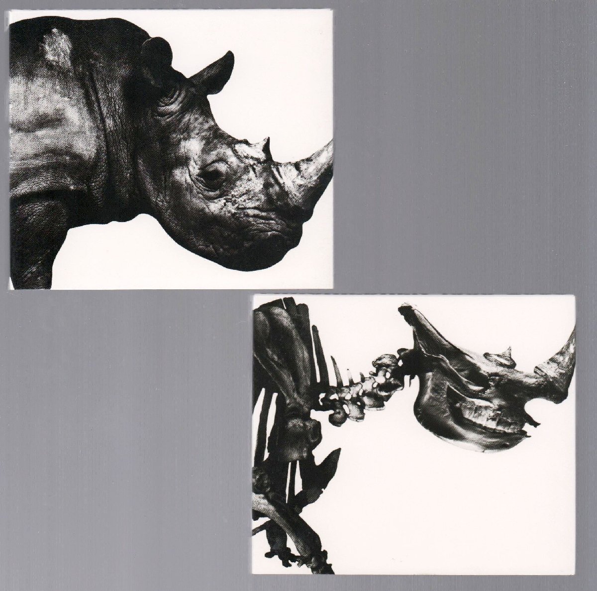 ■Mr.Children■ベスト・アルバム■「1992-1995」&「1996-2000」■肉&骨■2枚セット■♪イノセントワールド/CROSS ROAD/Everything♪■拍卖