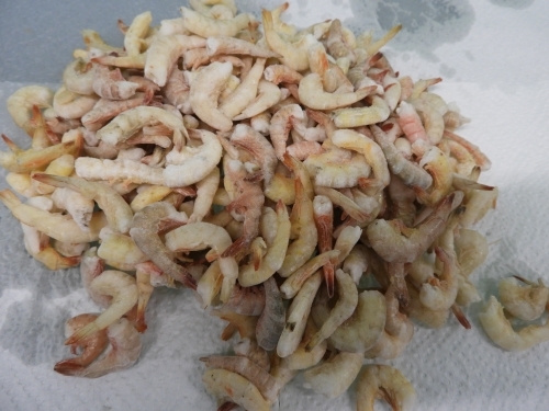 1kg 頭無しエビ 大型魚 古代魚 アロワナ エンドリ 熱帯魚 エビ 冷凍エサ拍卖
