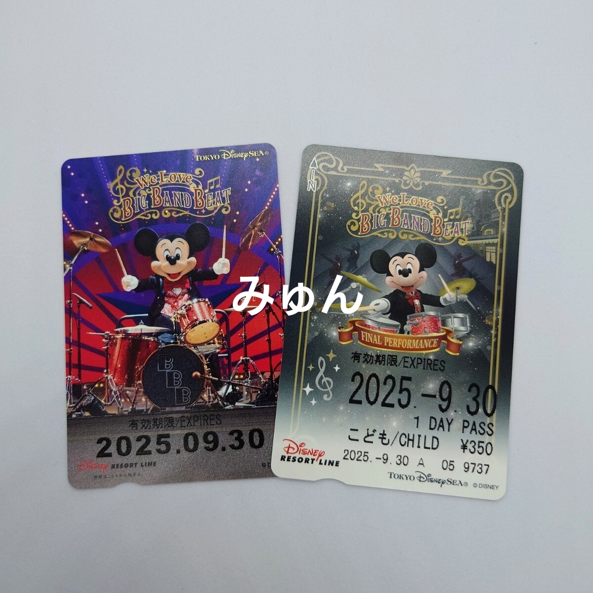 【9/30日付入】期限切れ BBB リゾートラインフリーきっぷ こども1日券 磁気+2次元コード 実写&イラスト 2枚セット拍卖