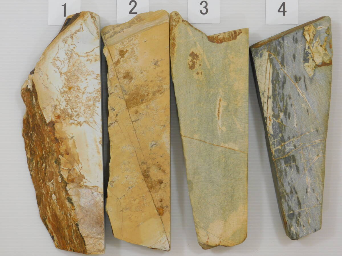 天然砥石 京都産 巣板原石端材 4点セット 約4.8kg 白巣板 紅葉巣板 ナマズ巣板 カラス巣板 仕上砥 合砥 青砥 研ぎ 包丁 鉋拍卖
