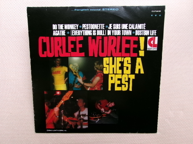 輸入盤*【LP】Curlee Wurlee!/She's A Pest(CLLP64109)拍卖