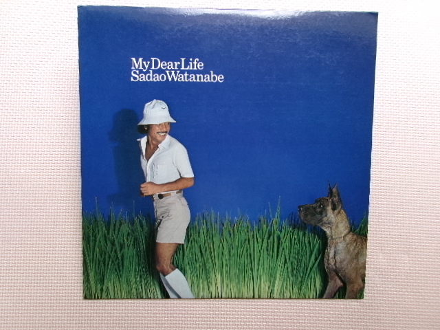 JAZZ*【LP】渡辺貞夫/MY DEAR LIFE(VIJ6001)(日本盤)拍卖