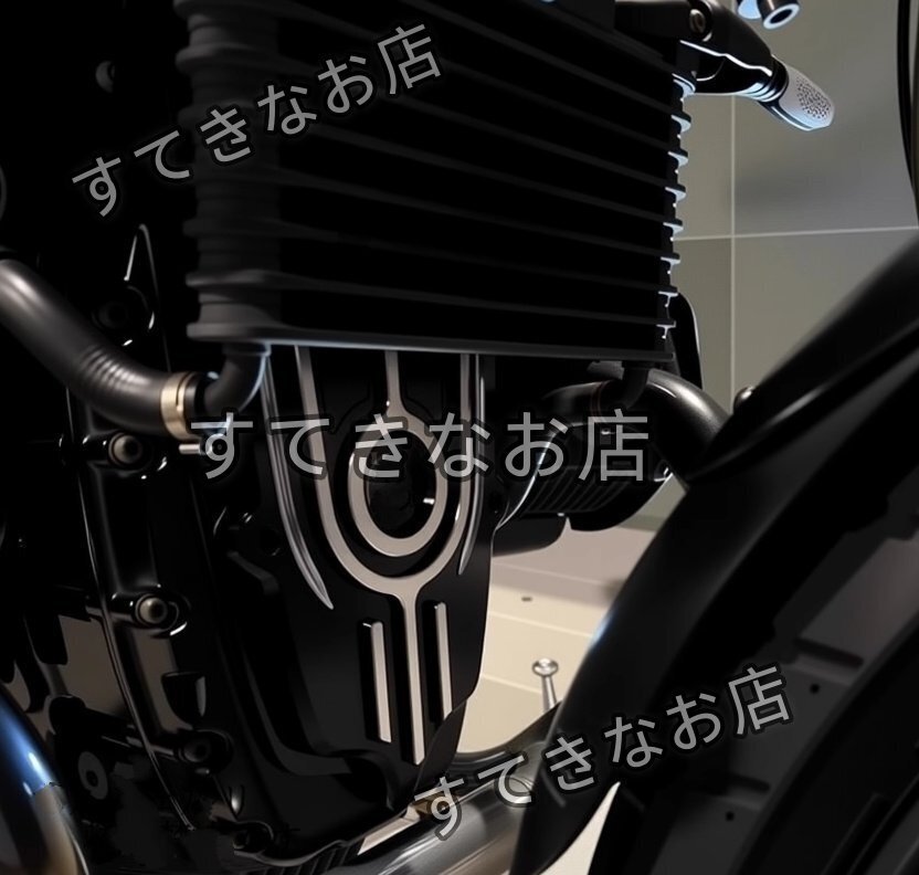 BMW R nineT / Scrambler 用 CNC加工 フロントシリンダーヘッドプロテクター & エンジンガード拍卖