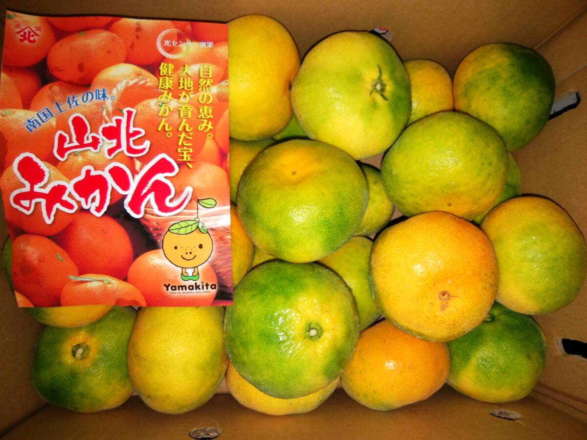 1円~【高知県産】山北みかん(極早生)光センサー 秀3Lサイズ 約5㎏ 拍卖