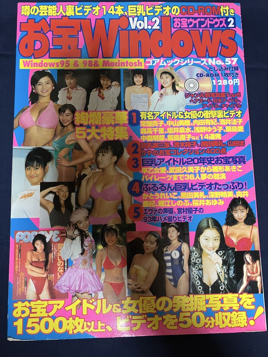 お宝Windows お宝ウインドウズ お宝ウィンドウズ Vol.2 CD-ROM付 常盤貴子 中山美穂 内田有紀 酒井法子 森高千里 坂井泉水 宮村優子拍卖