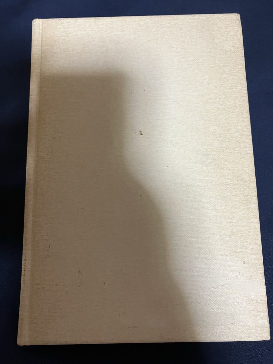 芸術 美術 ピラネージと古代ローマの壮麗 ピーター・マレー 18世紀イタリアの銅版画家、建築家ジョヴァンニ・バッティスタ・ピラネージ拍卖