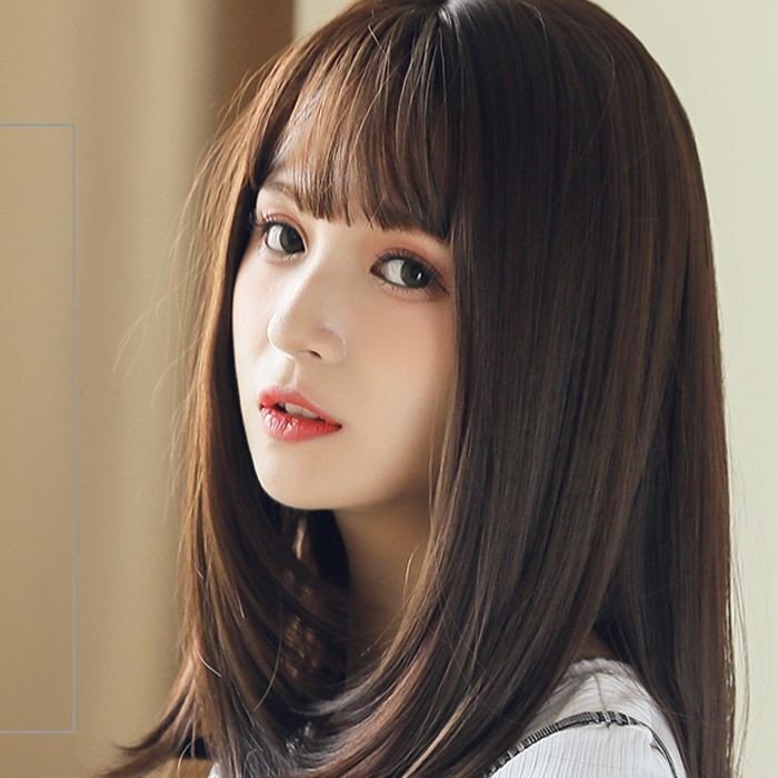 ウィッグ ミディアム セミロング 自然 医療用 耐熱 レディース ふんわり 高品質 軽い WIG ダークブラウン 小顔効果 かつら フルウィッグ拍卖