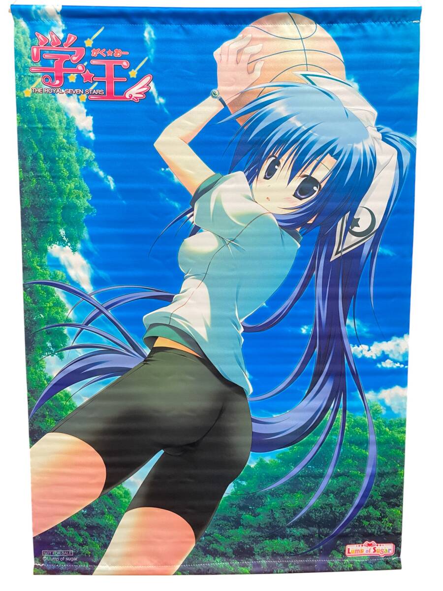 【未使用保管品】学☆王 -THE ROYAL SEVEN STARS- 初回版 天宮寺 アクアリウス 海月 オリジナル B2 タペストリー PCソフト トレーダー特典拍卖