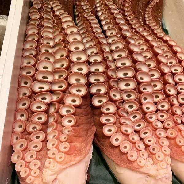北海道産ボイル水たこ(蛸)足2本(3kg前後)〔B〕北港直販☆タコ・刺身☆拍卖
