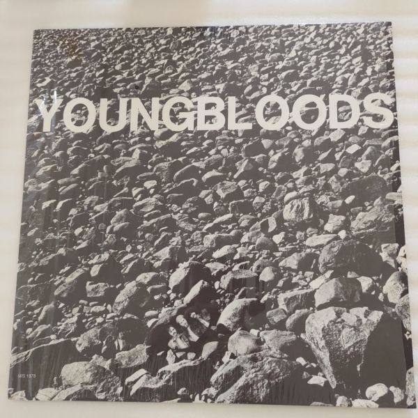 YOUNGBLOODS / Rock Festival(WS1878) 1970年USオリジナル盤拍卖
