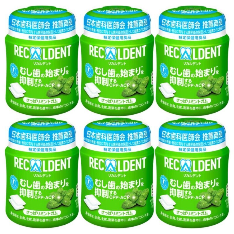 リカルデント さっぱりミントガム ボトル 6個セット ボトルガム 緑拍卖