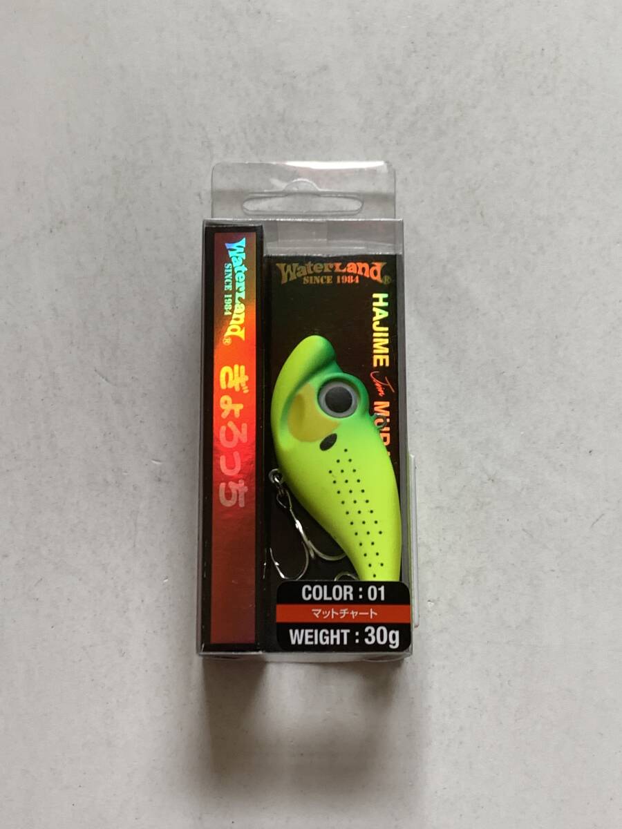 ウォーターランド【ぎょろっち 30g マットチャート】71011拍卖