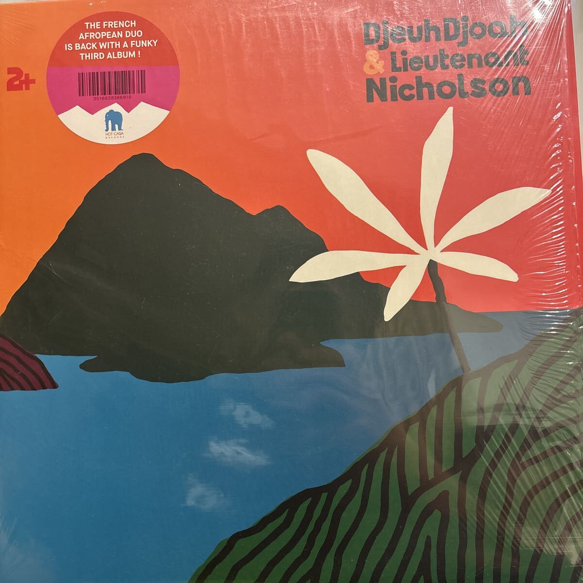 2+ DJEUHDJOAH & LIEUTENANT NICHOLSON フランス発モダンアフロソウルデュオ 2LP拍卖