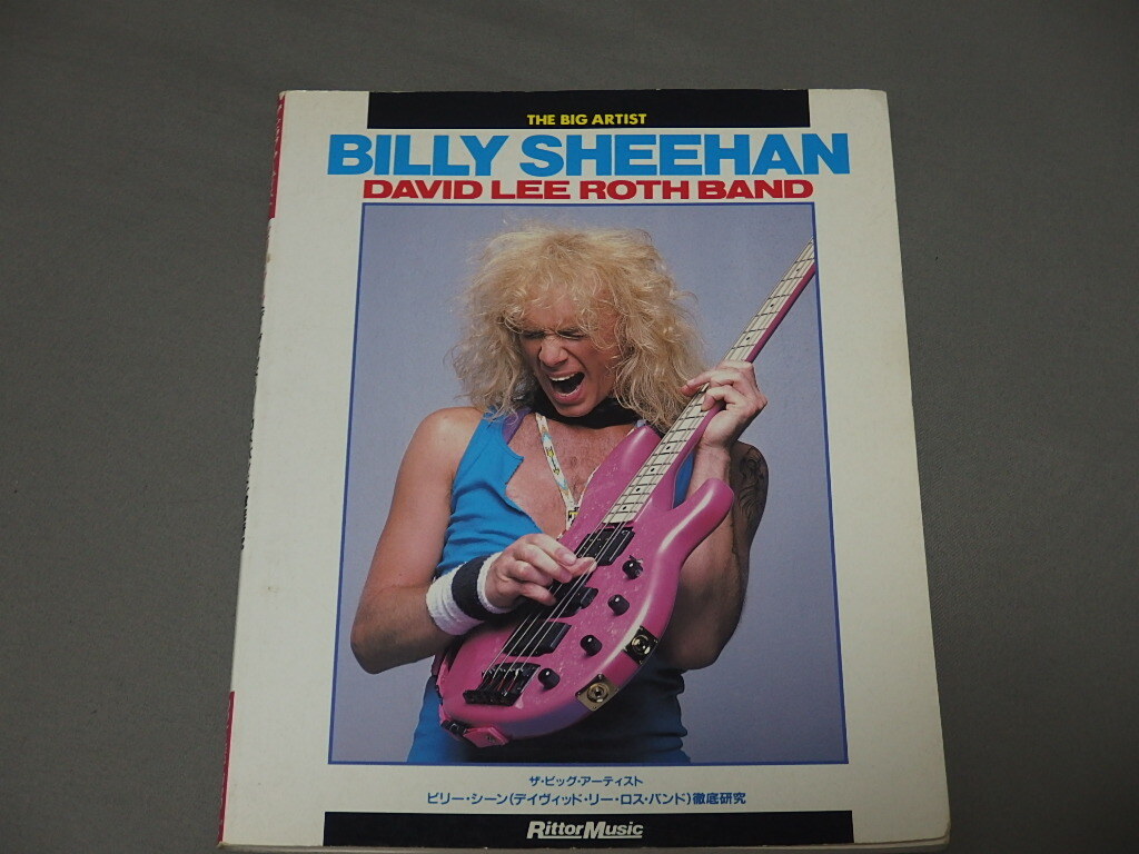 ザ・ビック・アーティスト ◆ ビリーシーン 徹底研究 デイヴィット・リー・ロス拍卖