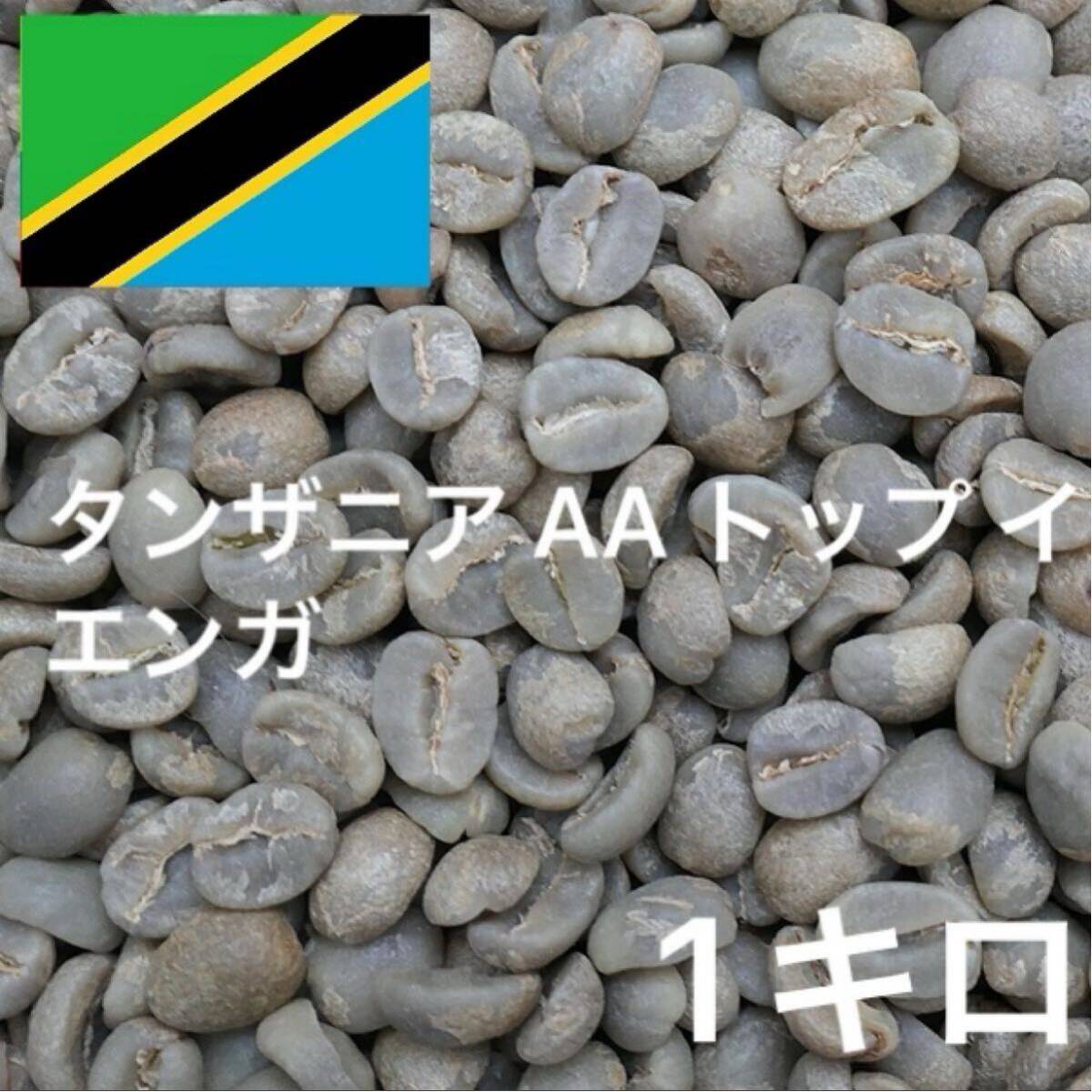 タンザニア AA トップ イエンガ 珈琲生豆 コーヒー生豆 1キロ拍卖