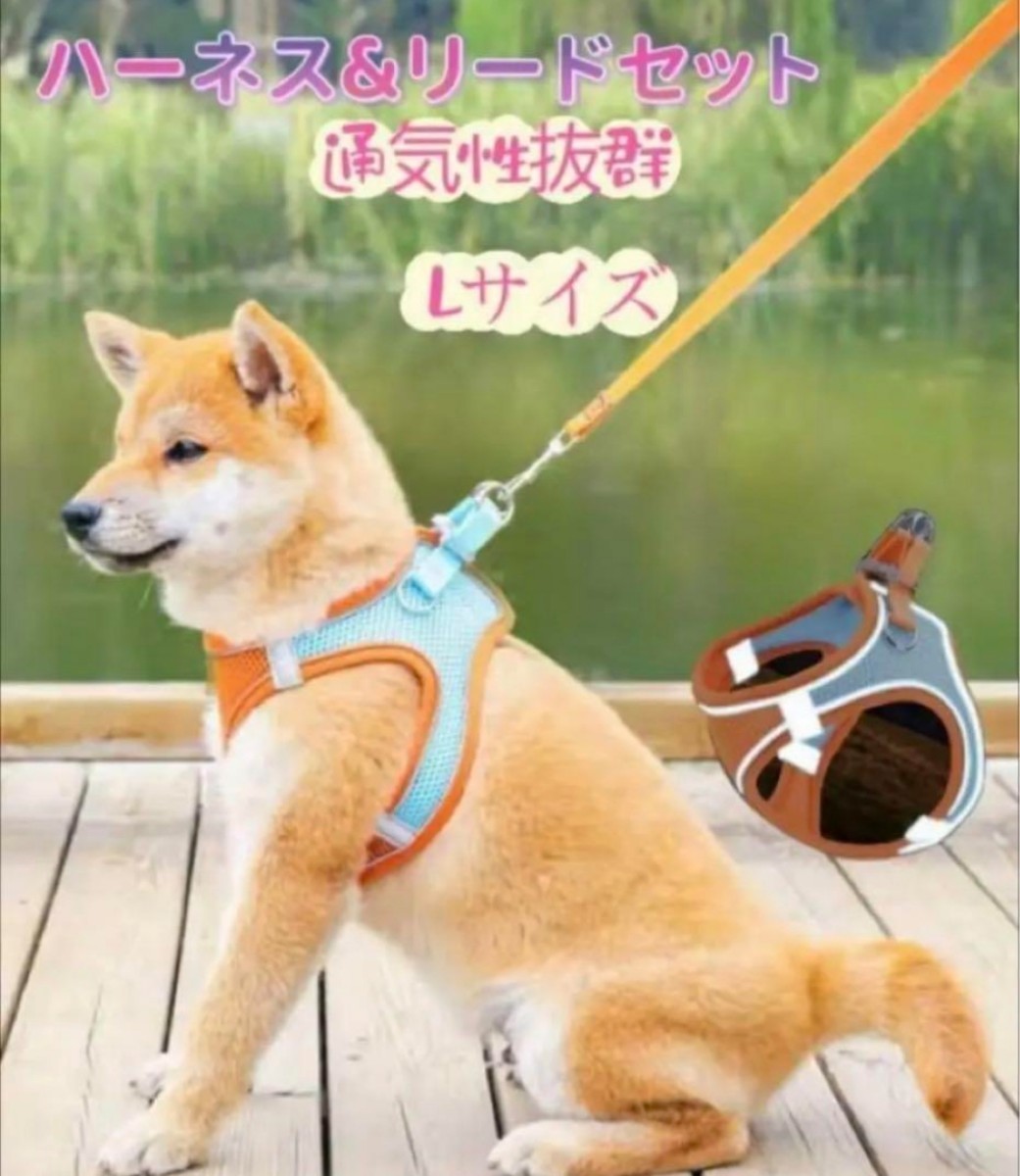 ペット用ハーネス 犬 服 ドッグ メッシュ 犬用 ハーネス &リードセット オレンジブルー Lサイズ拍卖