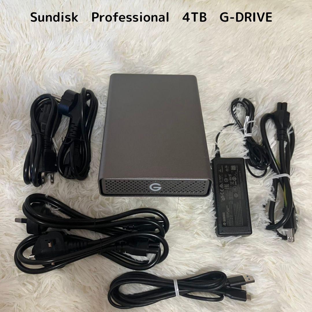 Sundisk Professional 外付けHDD 4TB G-DRIVE 周辺機器 ハードディスク 外付け USB拍卖