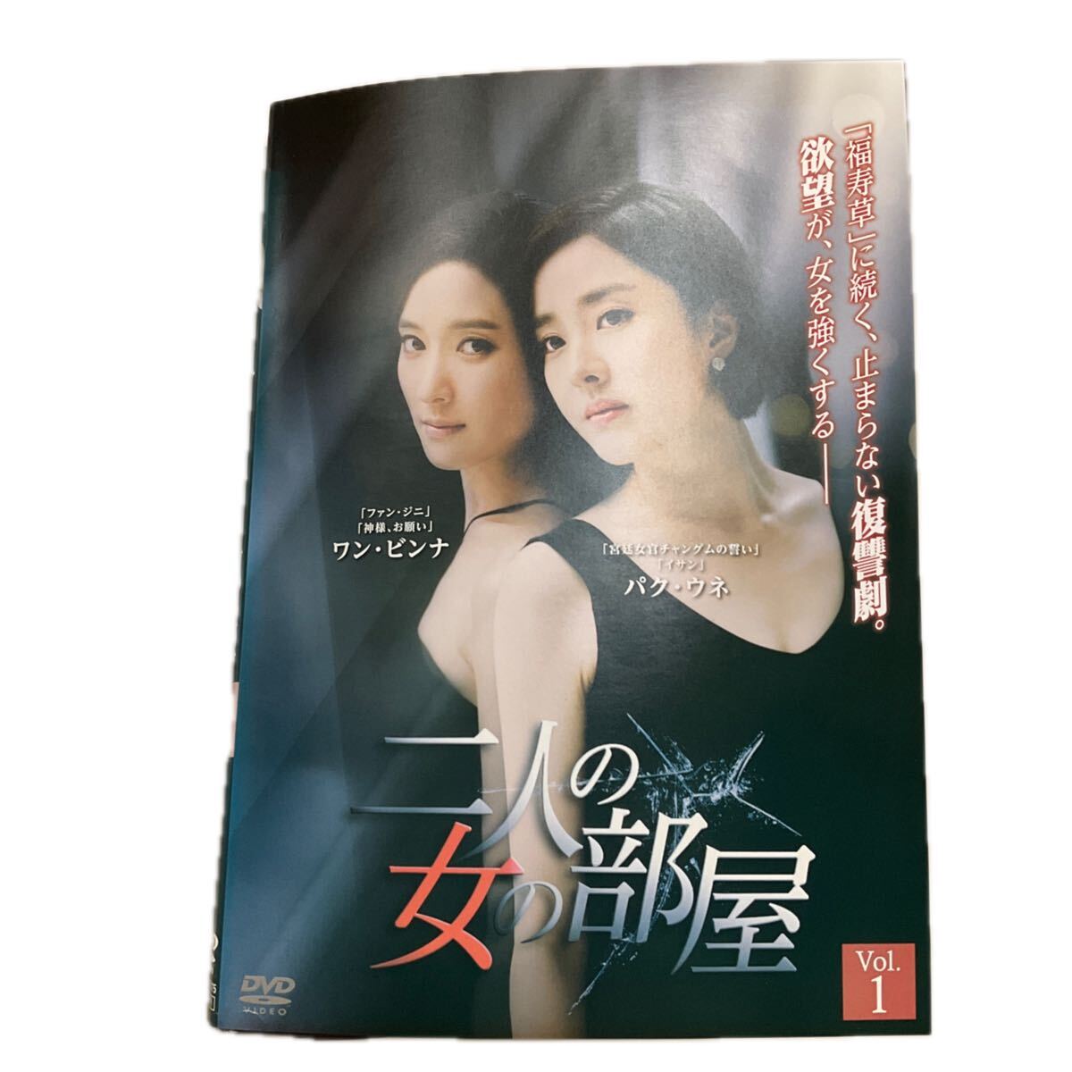 10313 二人の女の部屋 全40巻 DVD レンタル落ち拍卖