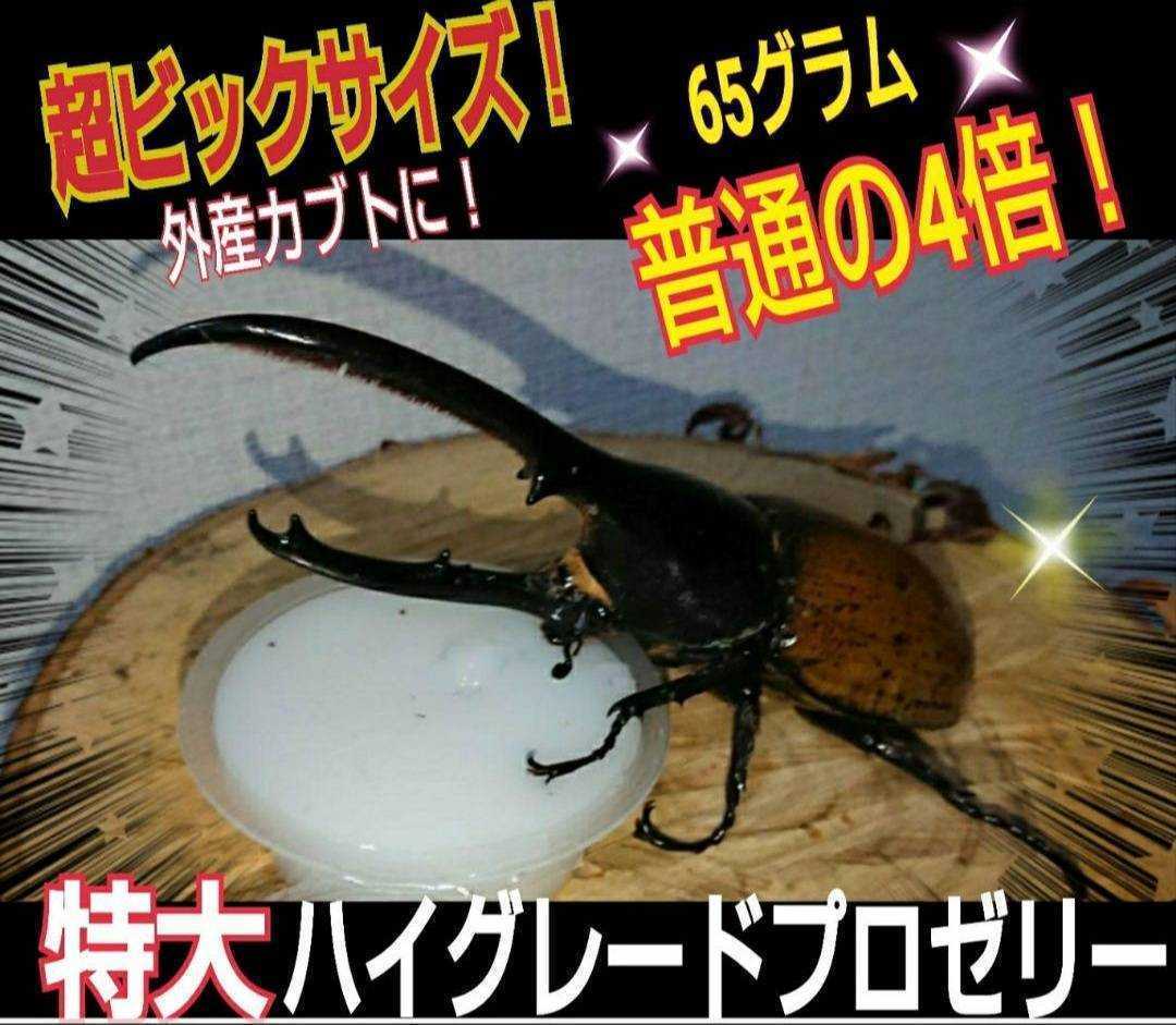 送料無料!ヘラクレスゼリー☆65g超ビッグサイズ!通常の4倍!成分に拘ったプロ仕様☆トレハロース増量!産卵促進・長寿・体力増進!100個拍卖