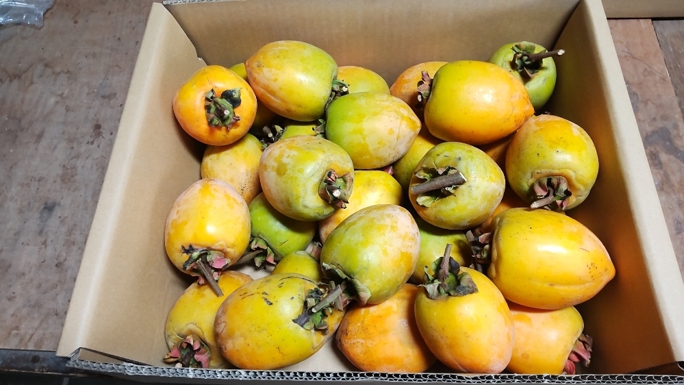 岡山産 愛宕柿 アタゴ柿 干し柿 渋抜き 8キロ 大玉 42拍卖