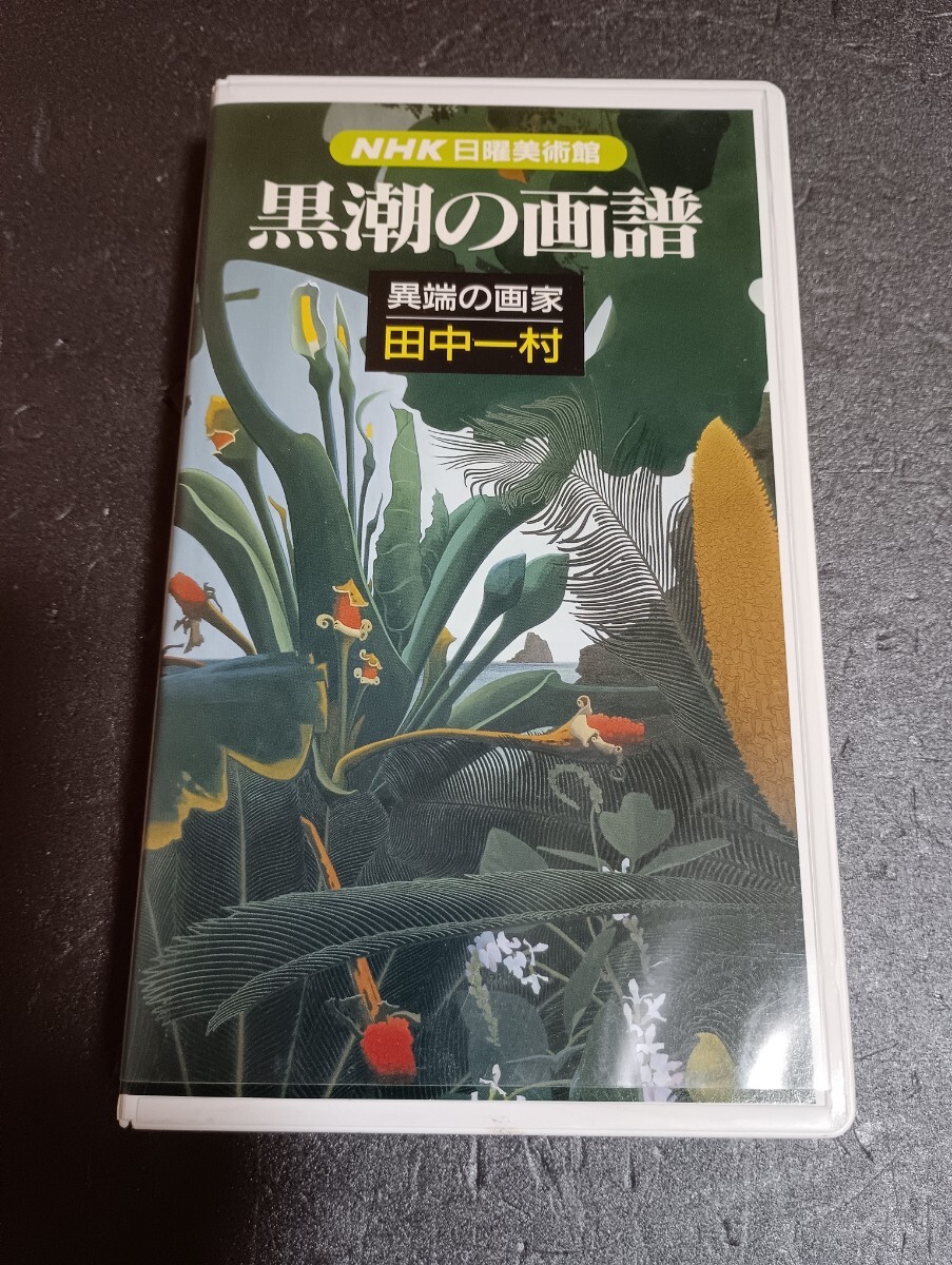 VHS 黒潮の画譜 NHK 日曜美術館 異端の画家 田中一村拍卖
