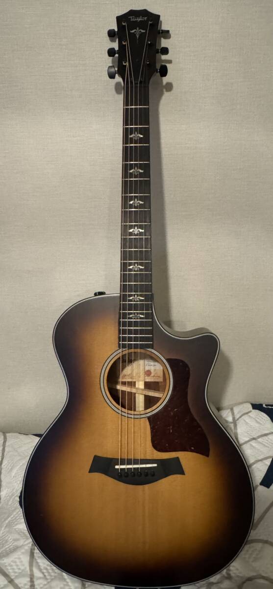 Taylor 314ce-K LTD V-Class テイラーエレアコ中古品拍卖