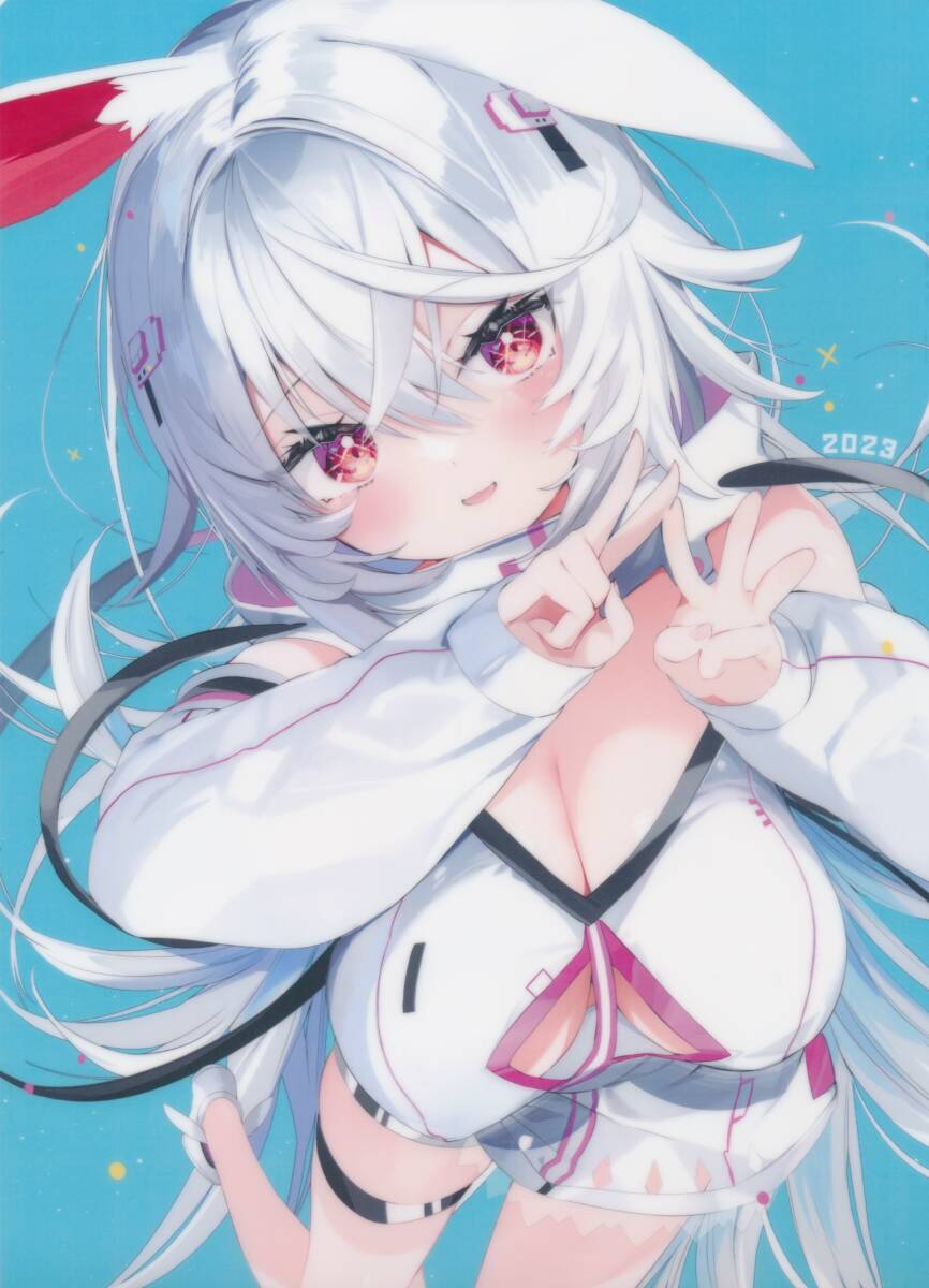 神岡ちろる(とらのあな:Aho-Cross)さんクリアファイル 拍卖