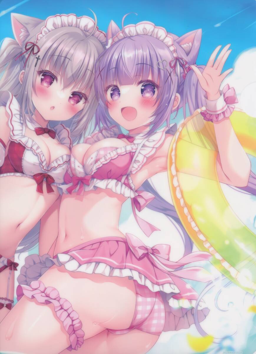 ぴこぴこぐらむ(Melon Books:プラチナきのこ)さん購入特典クリアファイル拍卖