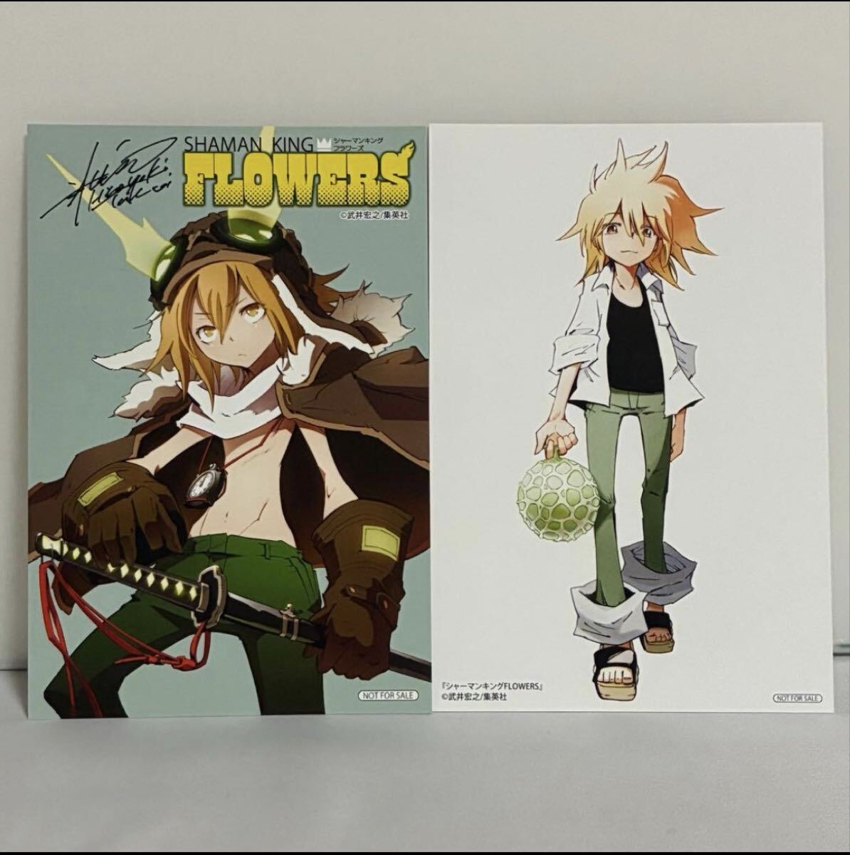 シャーマンキングflowers(フラワーズ) 購入特典 ポストカード 2枚セット拍卖