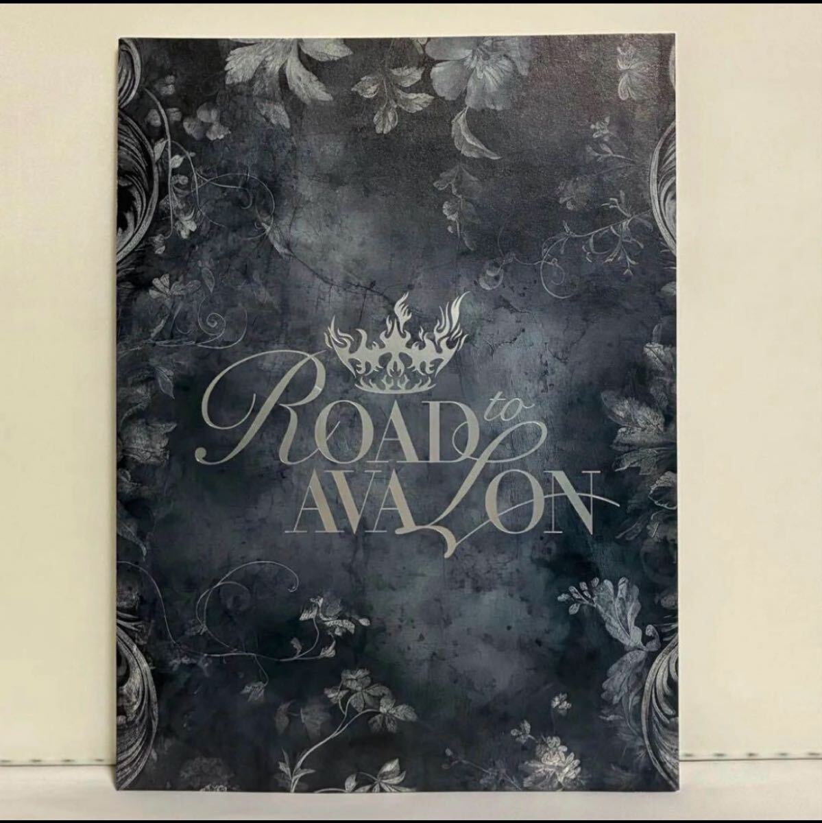 READING HIGH ROAD TO AVALON パンフレット拍卖