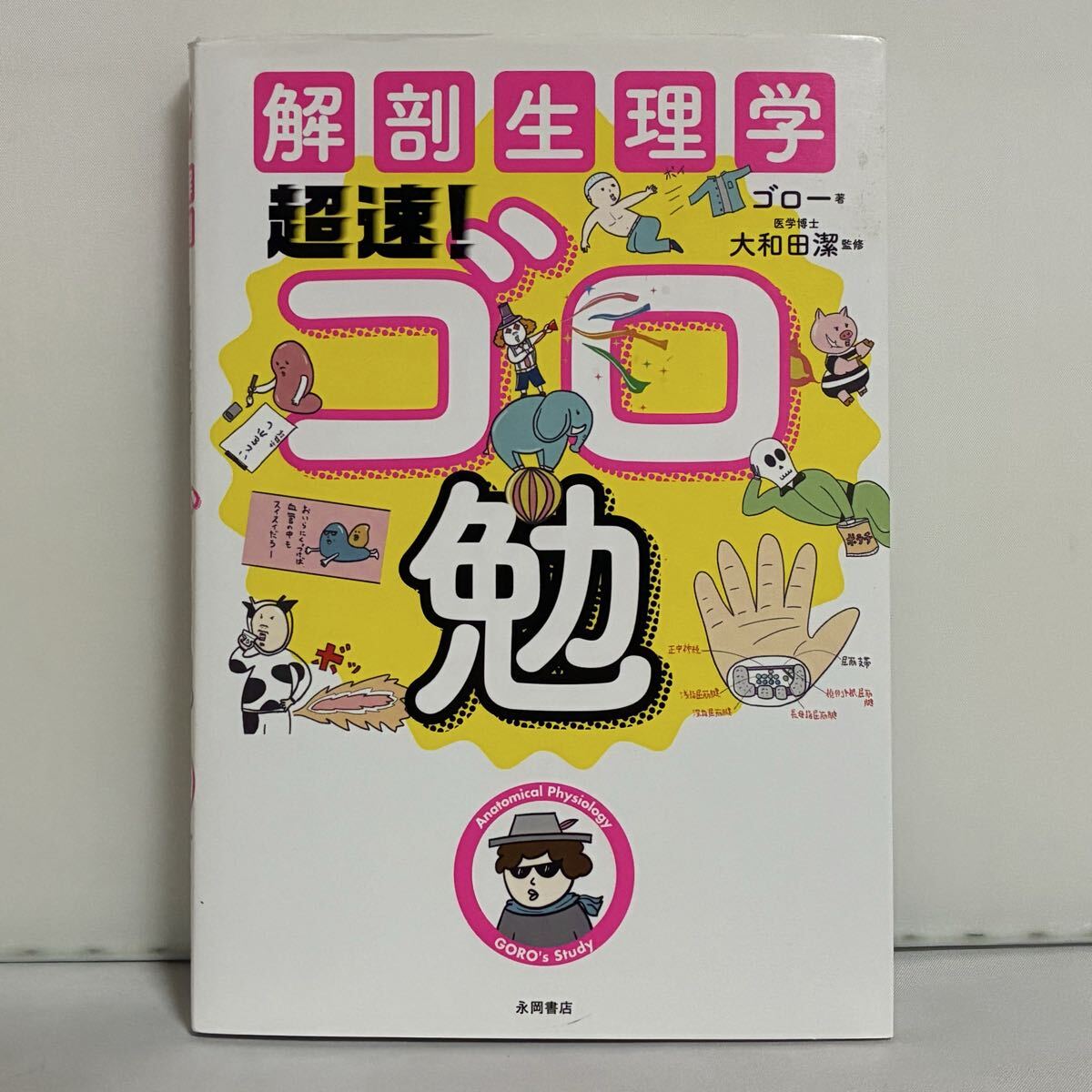 解剖生理学 超速!ゴロ勉 ゴロー/著 大和田潔/監修拍卖