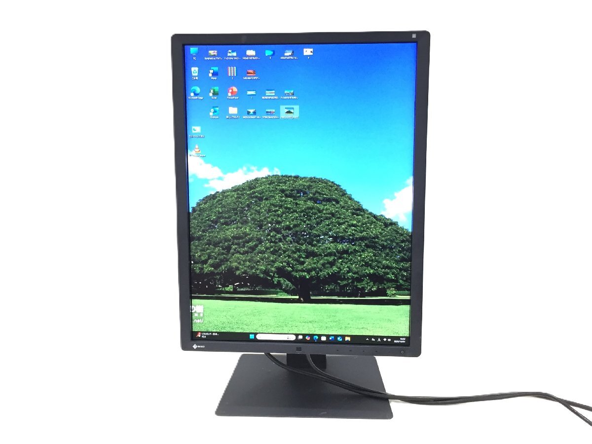 2018年製 EIZO 21.3型液晶モニタ- RadiForce RX250 昇降・回転可能 中古品 (管:2B-M)拍卖