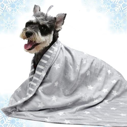 星柄 Medium ペット用 クールブランケット 犬 ひんやりブランケット 夏 クールマット 犬猫用 冷感グッズ 接触冷感 ひんや拍卖