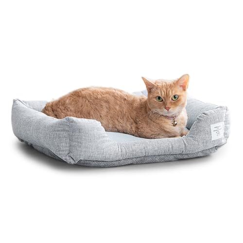 スクエア Mサイズ アイリスオーヤマ 犬 猫 クールペットベッド スクエア型Mサイズ拍卖